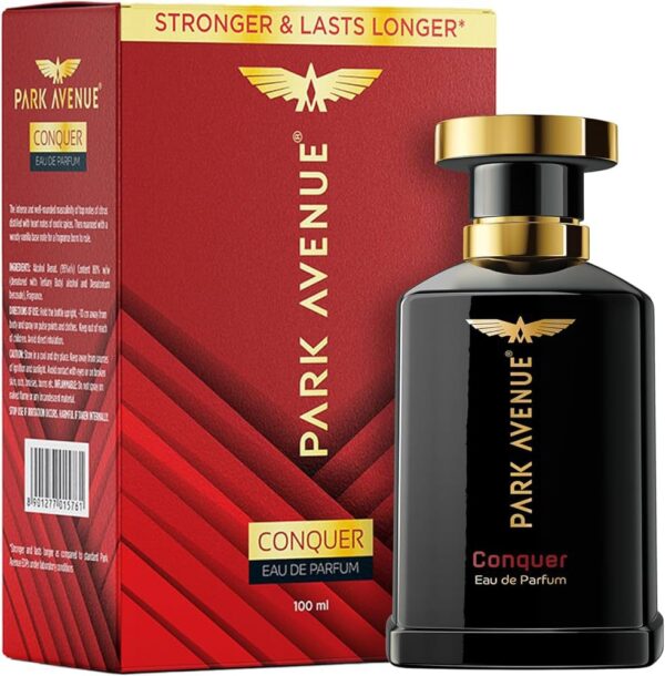 Park Avenue Euphoria Eau de Parfum for Men – 100ml